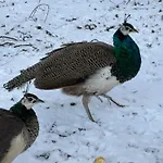 Guest house D'hote A La Campagne *