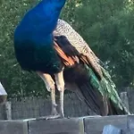 D'hote A La Campagne Guest house *