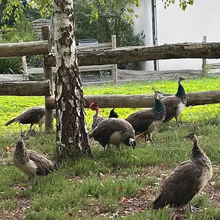 D'hote A La Campagne *