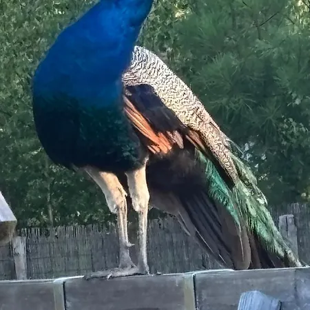 D'hote A La Campagne Konukevi *