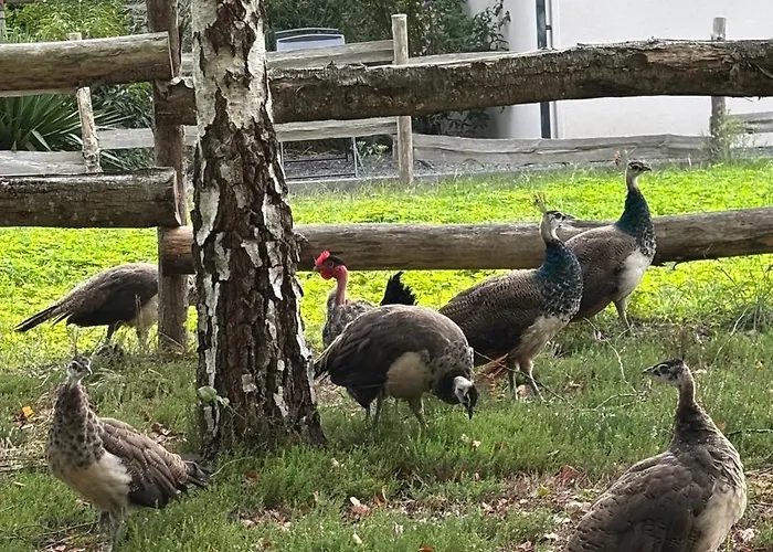 D'hôte à La Campagne *