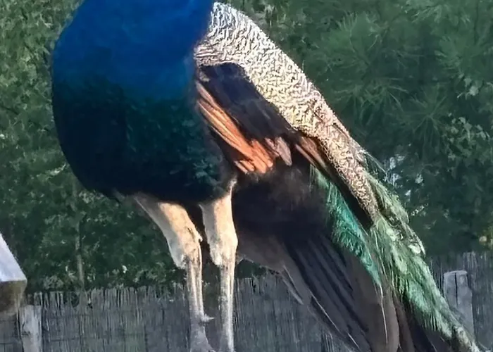 D'hote A La Campagne Pensión *